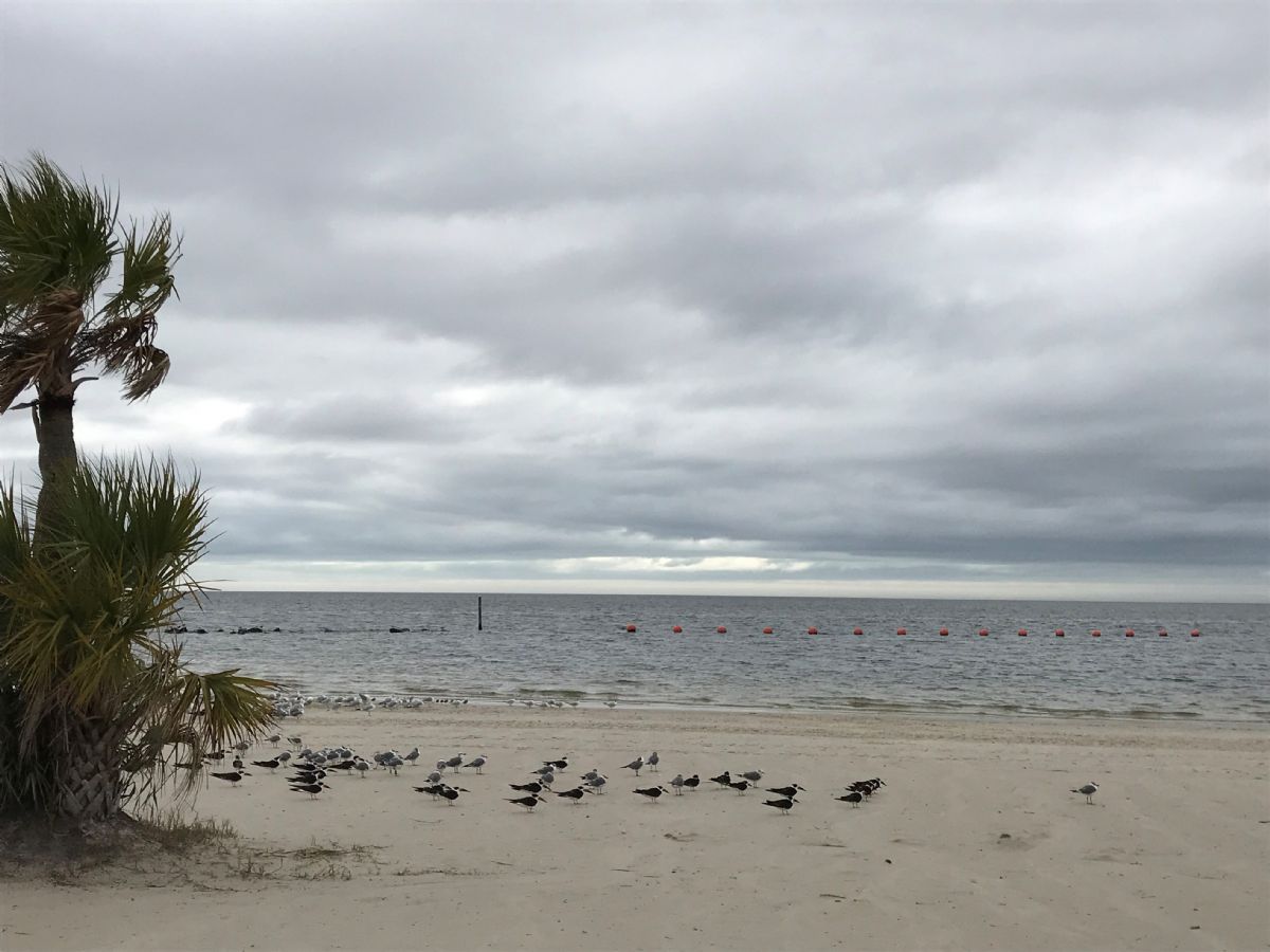 Fort Island Beach